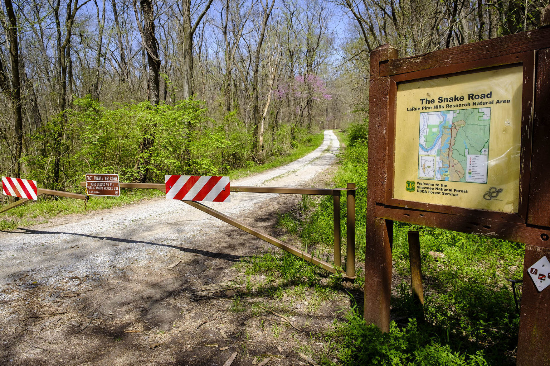 Snake Road 2018